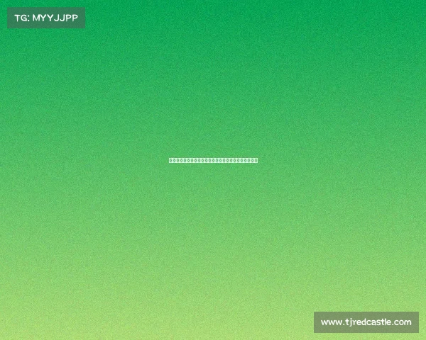 法甲豪门崛起之路：巴黎圣日耳曼如何主宰欧洲足球格局